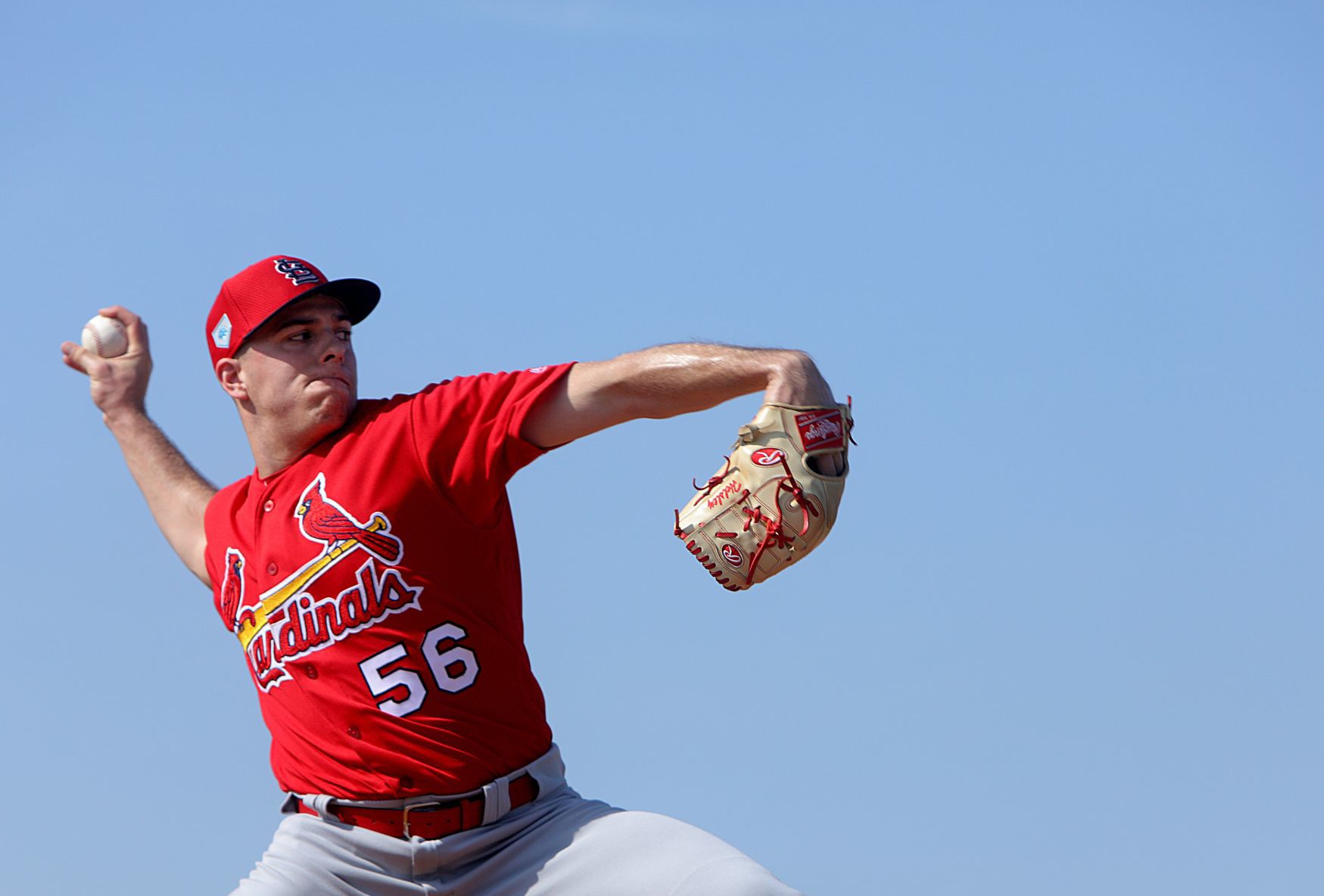 2019 Cardinals spring training